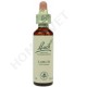 Bach Flower Remedies for Animals - Larch